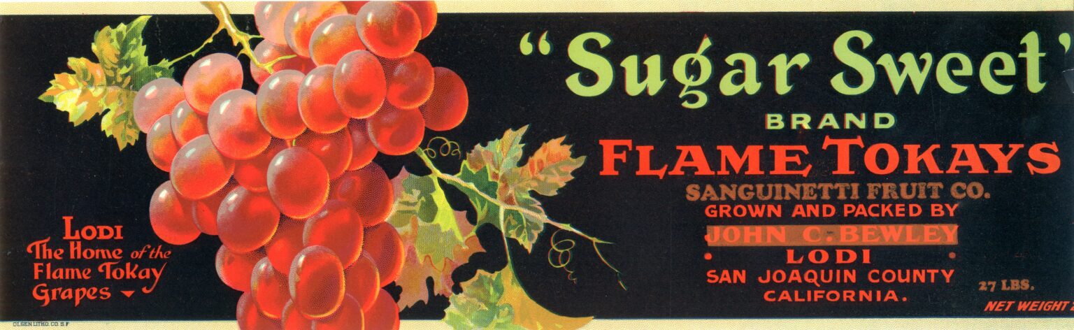 Sugar Sweet